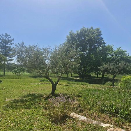 La Bastideta, Apartamento Fayence Exterior foto