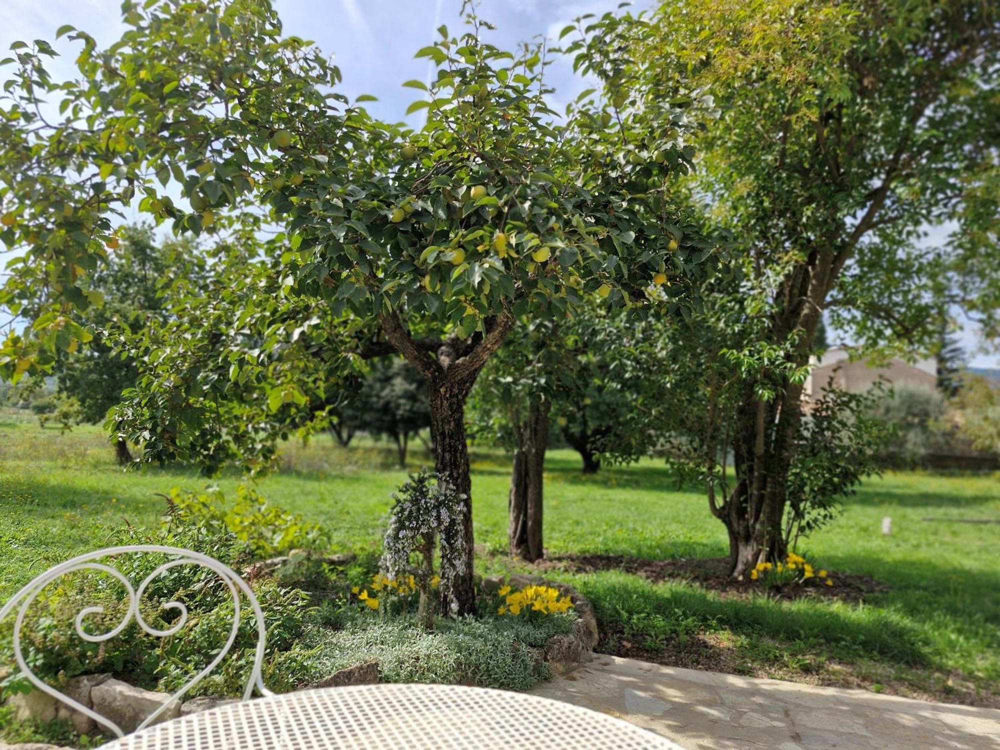 La Bastideta, Apartamento Fayence Exterior foto