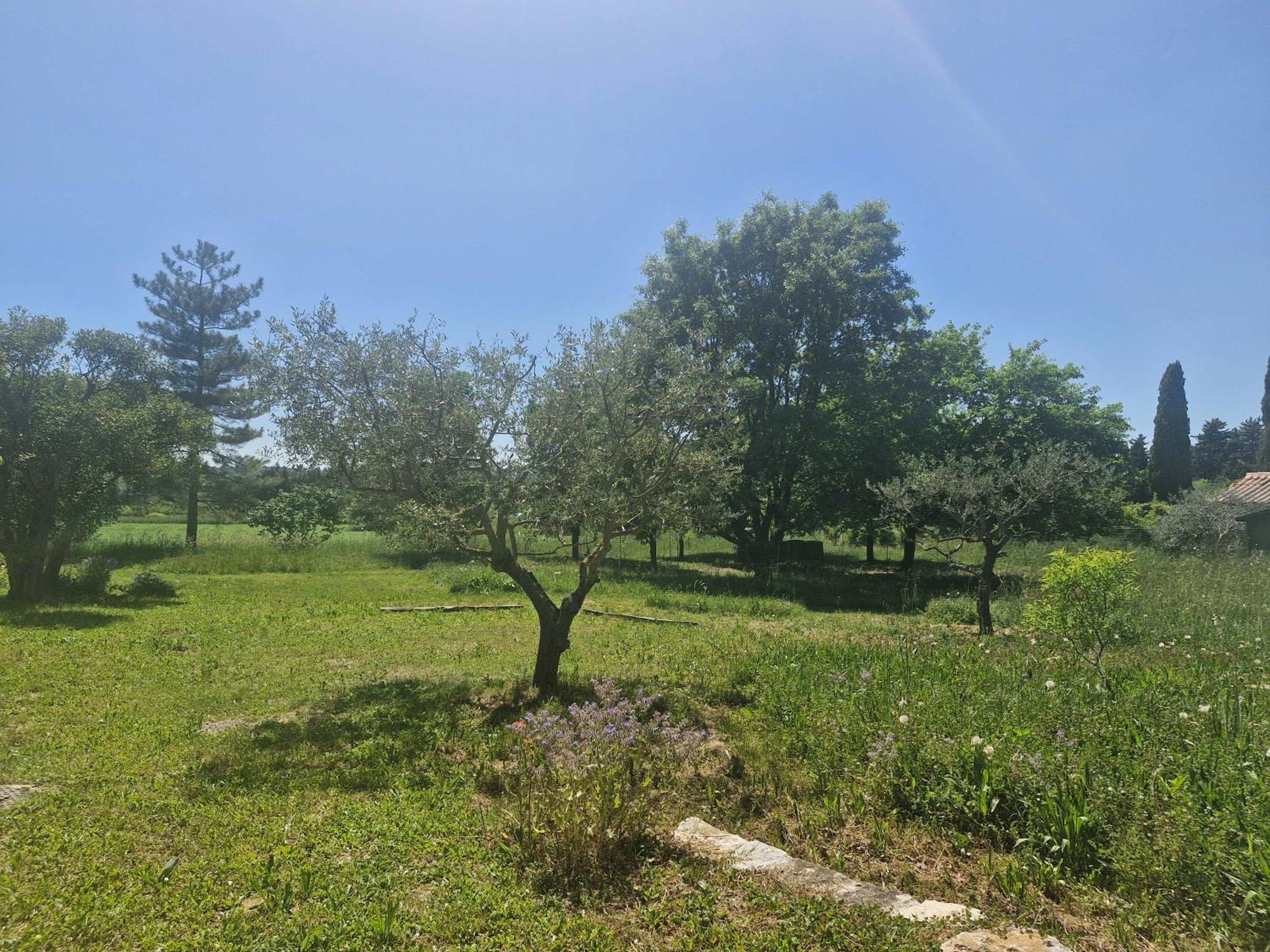 La Bastideta, Apartamento Fayence Exterior foto