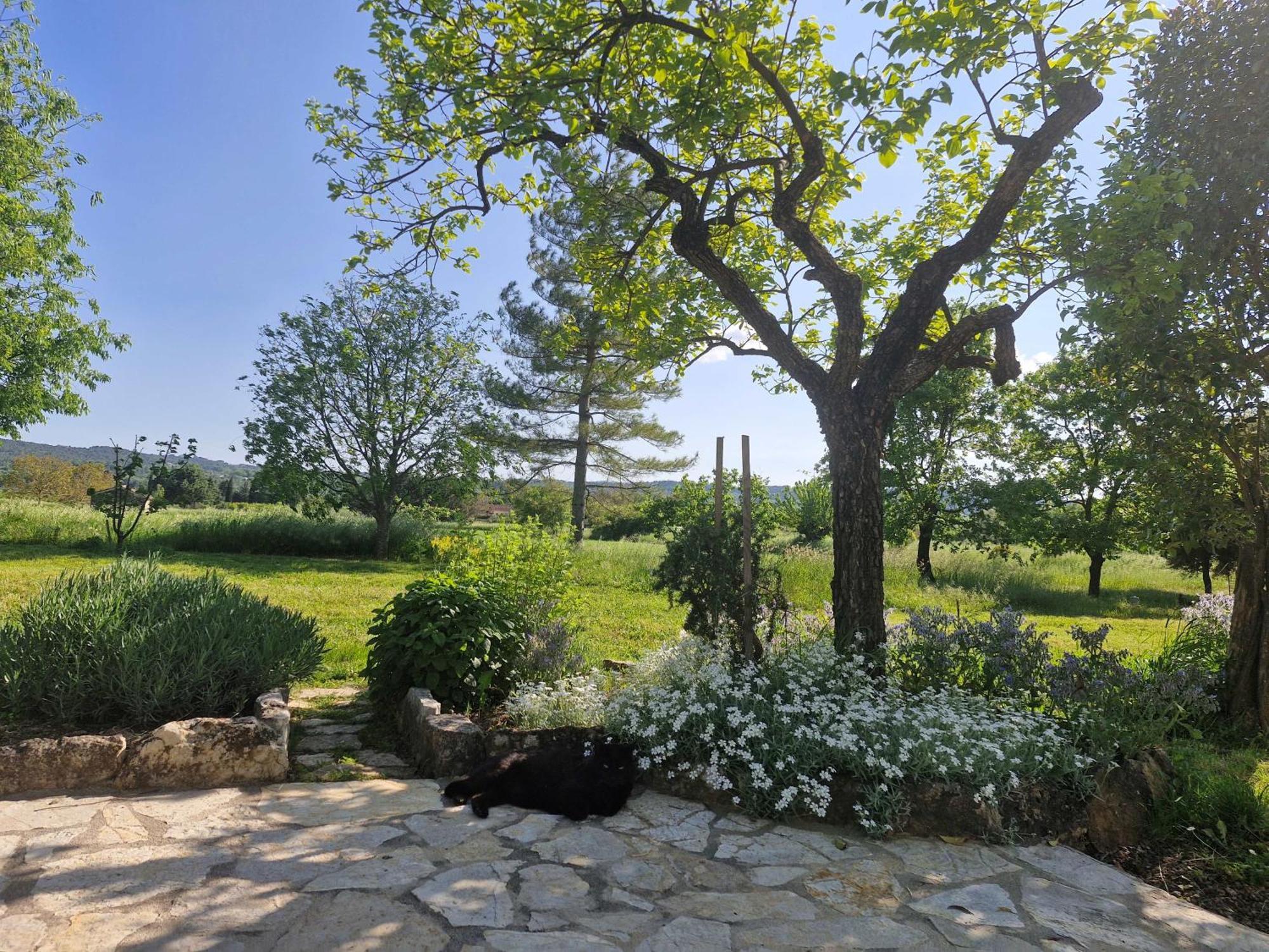 La Bastideta, Apartamento Fayence Exterior foto